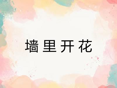 墙里开花 墙里开花