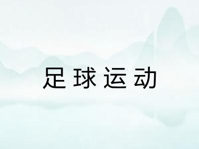 足球运动