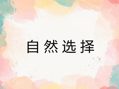 自然选择