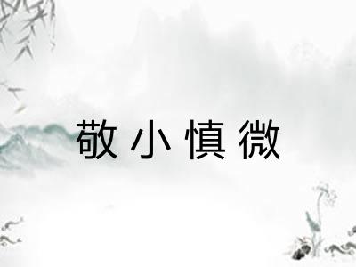 敬小慎微 敬小慎微