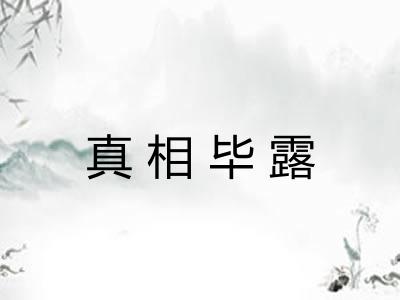 真相毕露 真相毕露