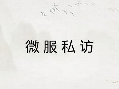 微服私访 微服私访