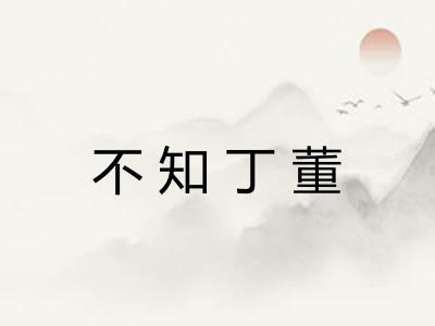 不知丁董