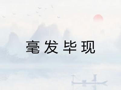 毫发毕现 毫发毕现
