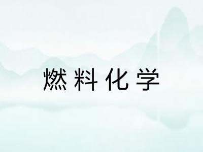 燃料化学 燃料化学