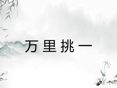 万里挑一