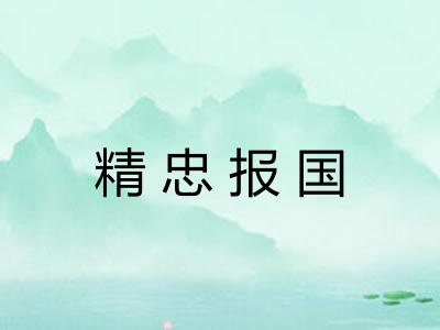 精忠报国 精忠报国