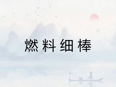 燃料细棒