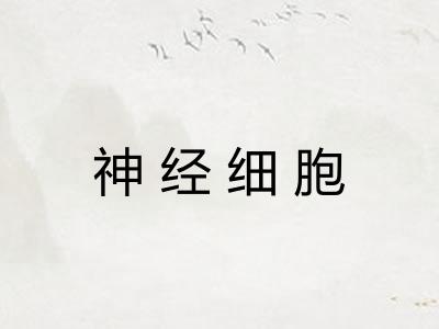 神经细胞 神经细胞