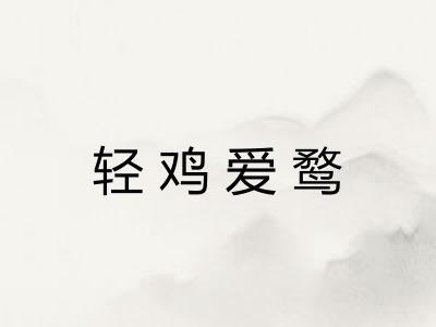 轻鸡爱鹜