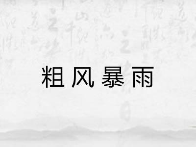 粗风暴雨 粗风暴雨
