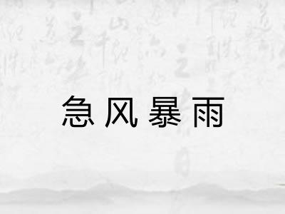 急风暴雨 急风暴雨