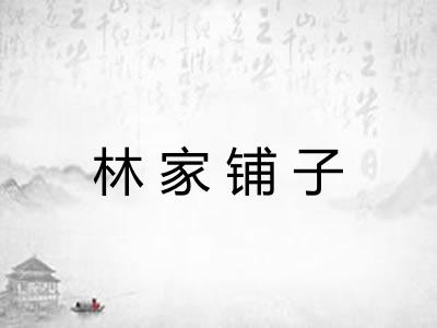 林家铺子 林家铺子