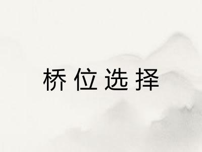 桥位选择