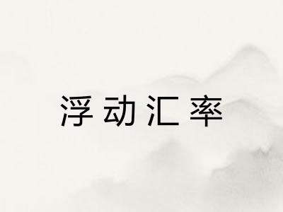 浮动汇率 浮动汇率