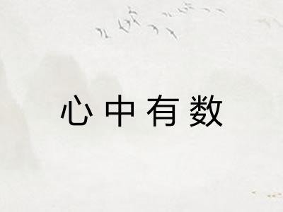 心中有数 心中有数