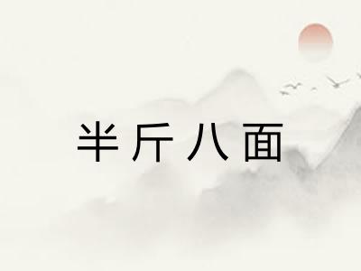 半斤八面