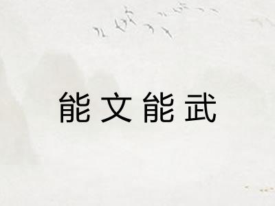 能文能武 能文能武