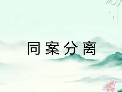 同案分离 同案分离