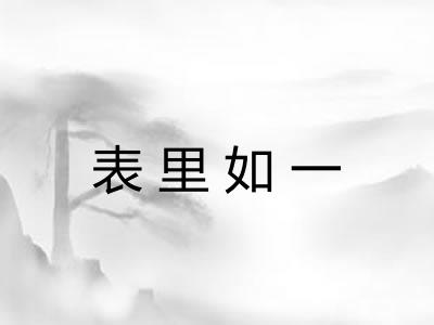 表里如一 表里如一