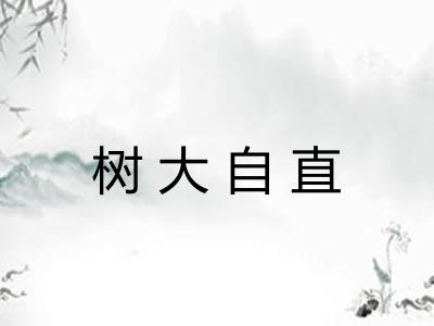 树大自直 树大自直