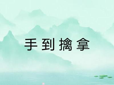 手到擒拿 手到擒拿