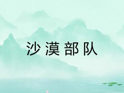 沙漠部队