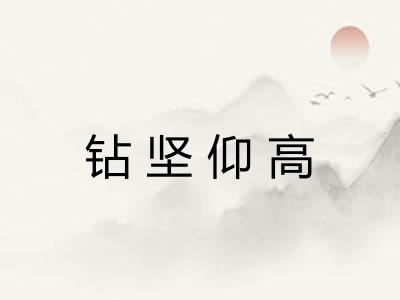 钻坚仰高