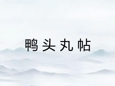 鸭头丸帖 鸭头丸帖