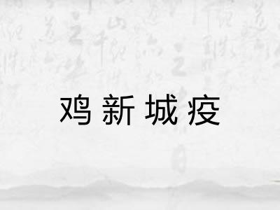 鸡新城疫 鸡新城疫