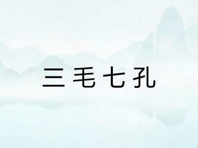 三毛七孔