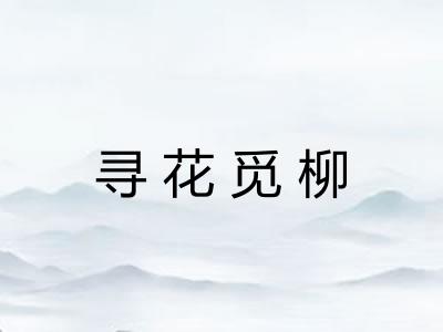 寻花觅柳 寻花觅柳