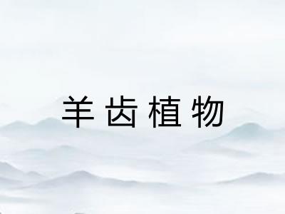 羊齿植物 羊齿植物