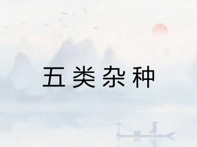 五类杂种 五类杂种