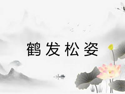 鹤发松姿 鹤发松姿