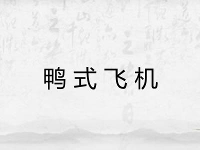 鸭式飞机 鸭式飞机