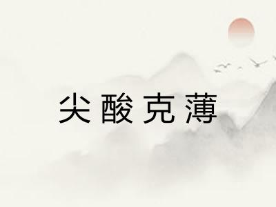 尖酸克薄 尖酸克薄