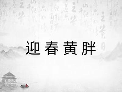 迎春黄胖