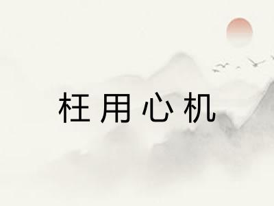 枉用心机 枉用心机