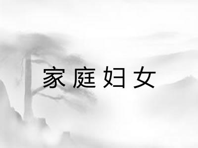 家庭妇女 家庭妇女