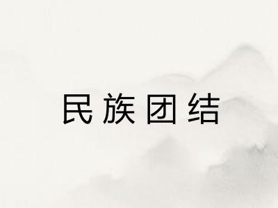 民族团结 民族团结