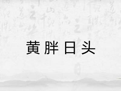 黄胖日头
