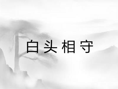 白头相守 白头相守
