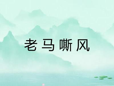 老马嘶风 老马嘶风