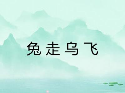 兔走乌飞