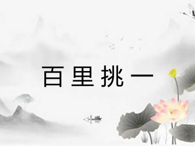 百里挑一