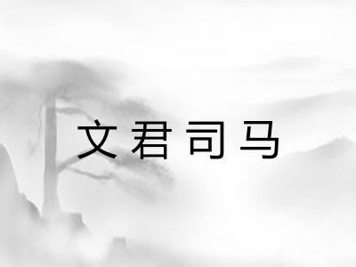 文君司马