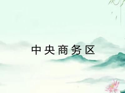 中央商务区 中央商务区