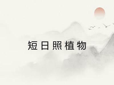 短日照植物 短日照植物