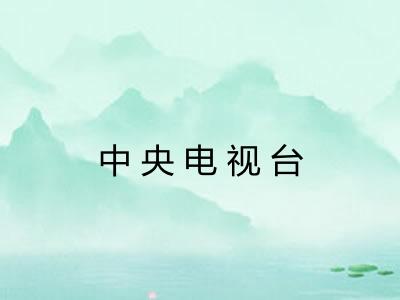 中央电视台
